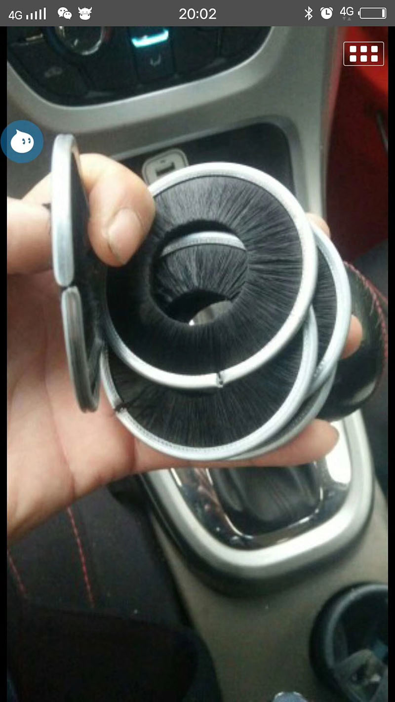 猫咪短视频黄片下载