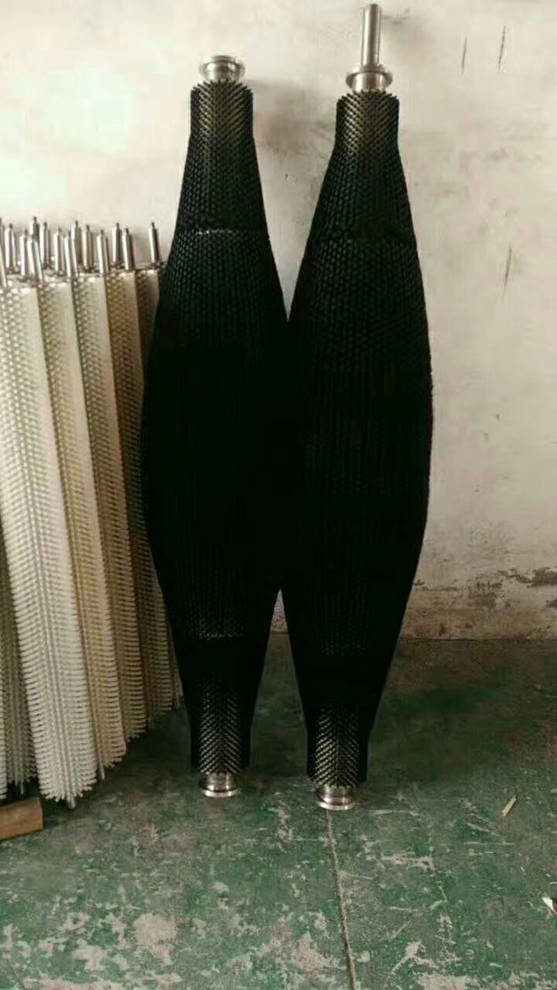 异形猫咪视频在线大全免费观看辊