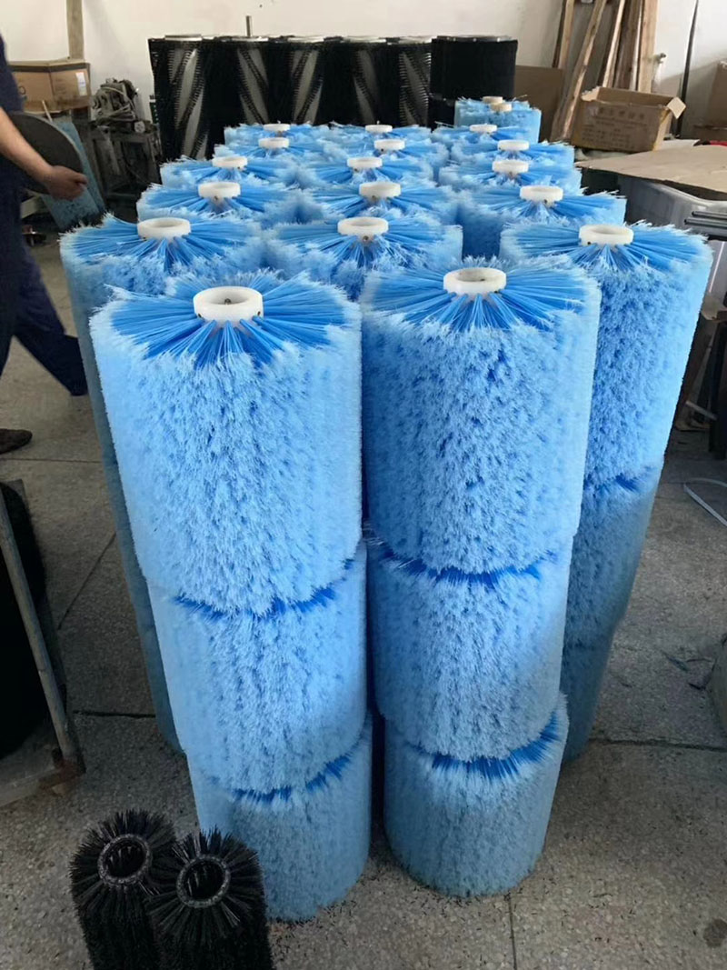 猫咪视频在线大全免费观看辊